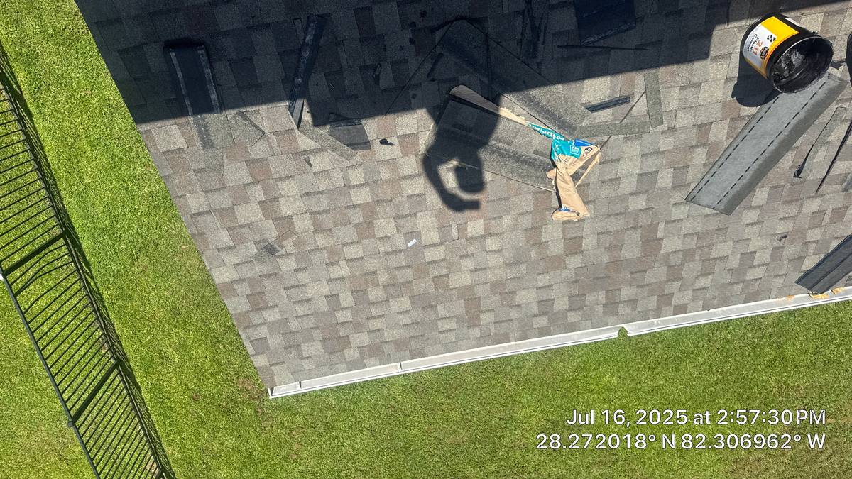 shingle roof replacement in Tampa, Florida