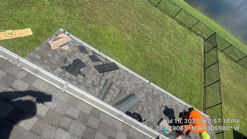 shingle roof replacement in Tampa, Florida