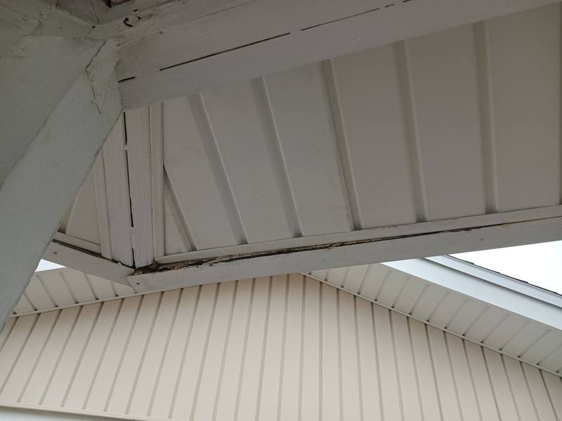 shingle roof replacement in Largo, Florida