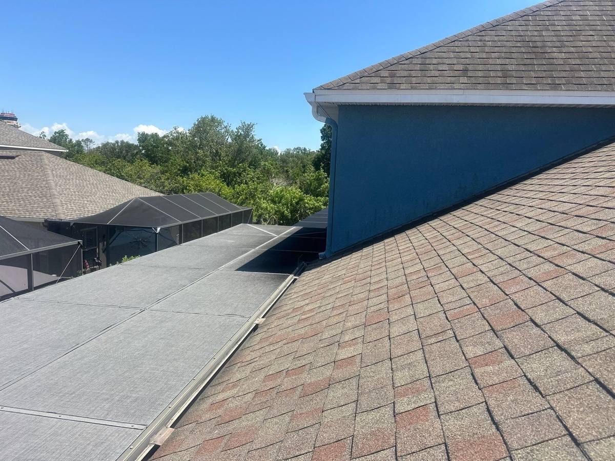 shingle roof replacement in Tampa, Florida