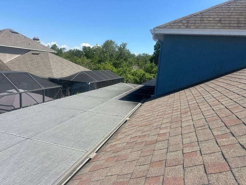 shingle roof replacement in Tampa, Florida