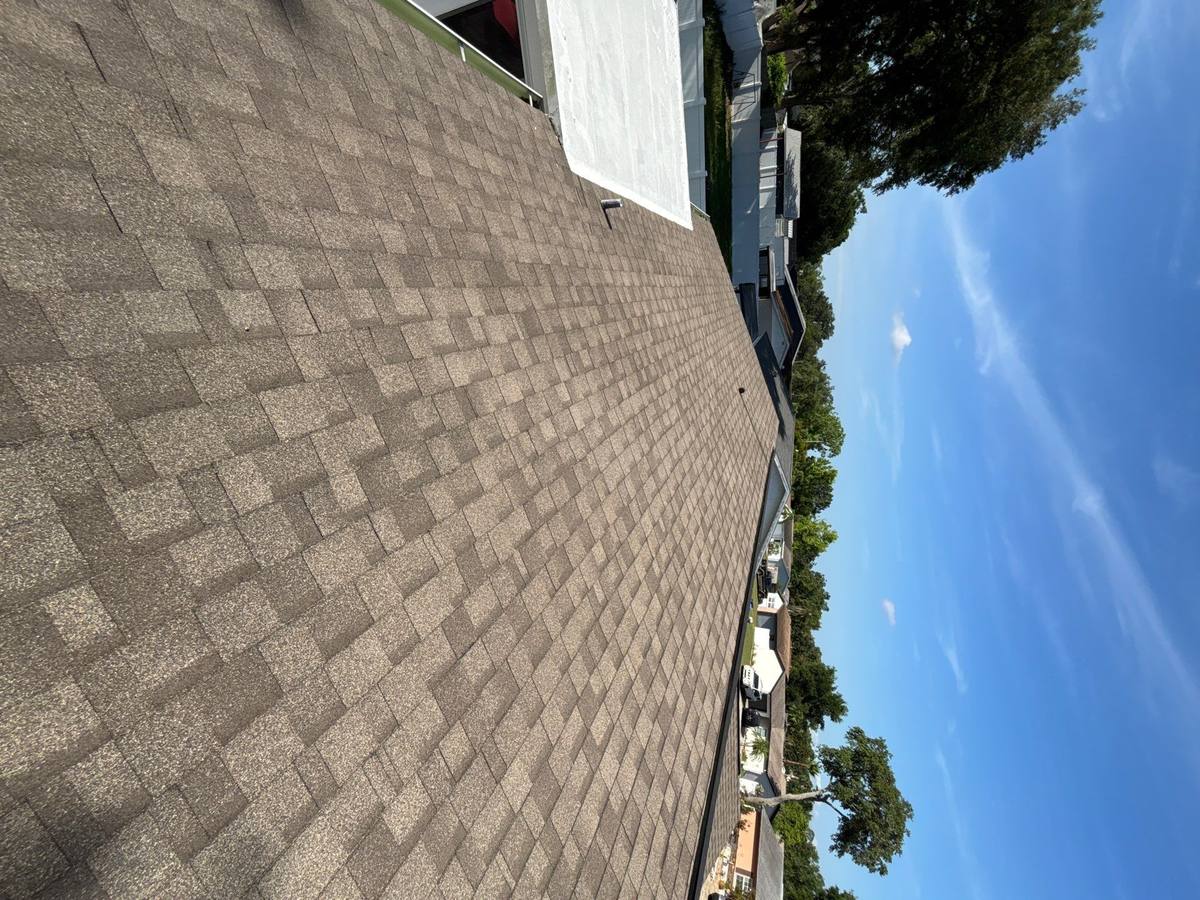 shingle roof replacement in Tampa, Florida