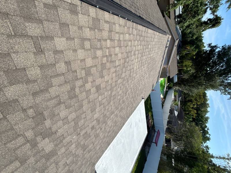 residential shingle roof replacement by Hloska Roofing in Tampa