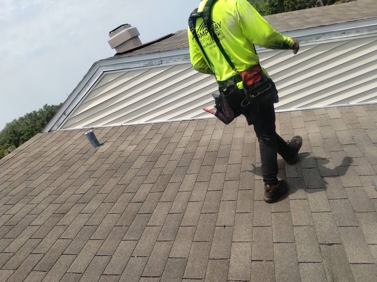 roof replacement in Tampa, Florida