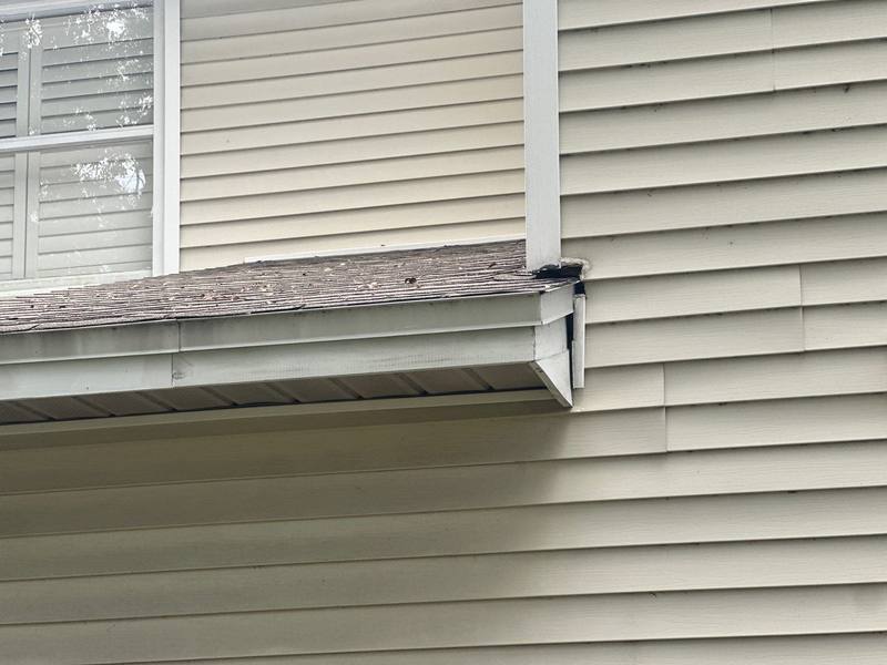 roof replacement in Tampa, Florida