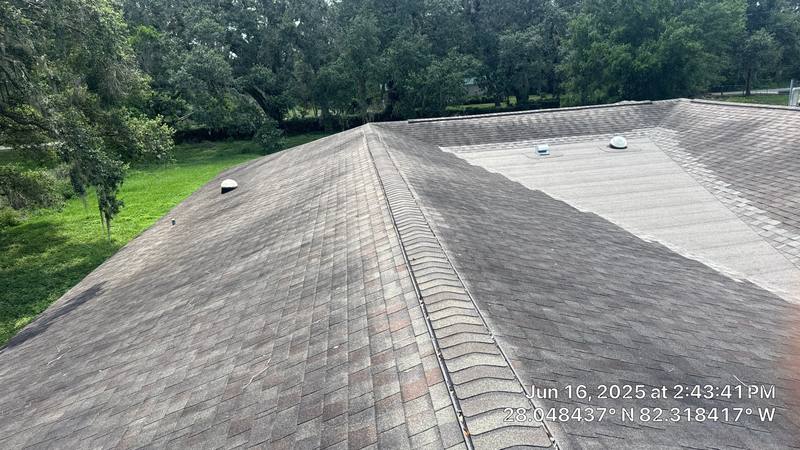 roofing project near Timmons Rd in Thonotosassa