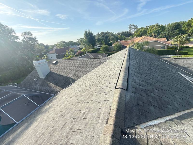shingle roof replacement in Odessa, Florida