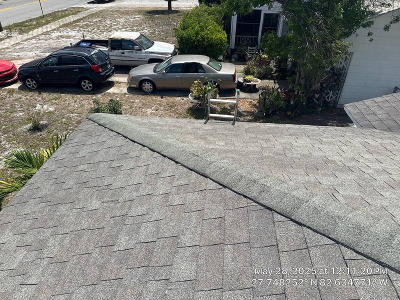 shingle roof replacement in St. Petersburg, Florida
