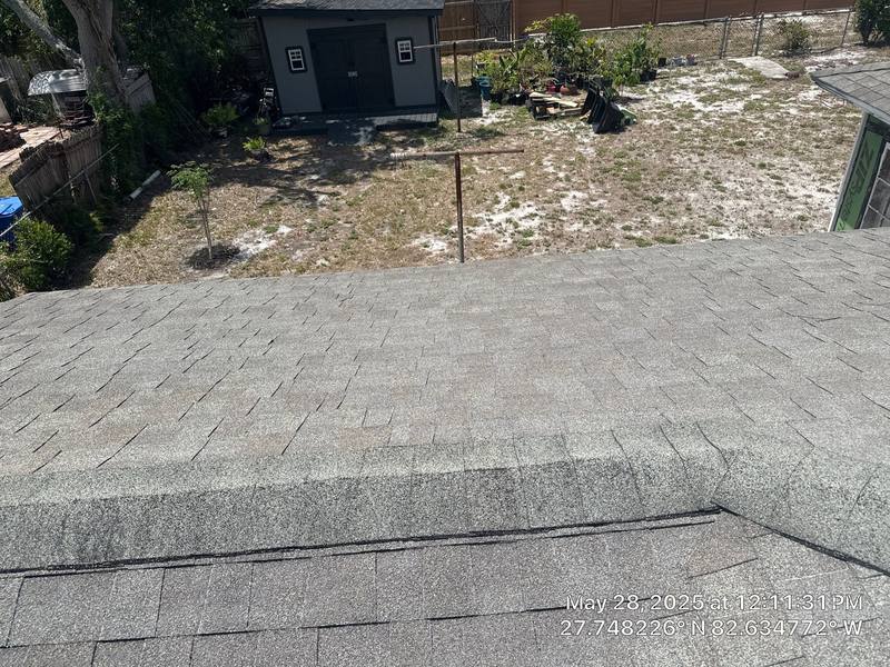 residential shingle roof replacement by Hloska Roofing in St. Petersburg