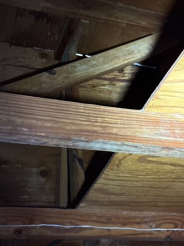 roof repair in Holiday, Florida