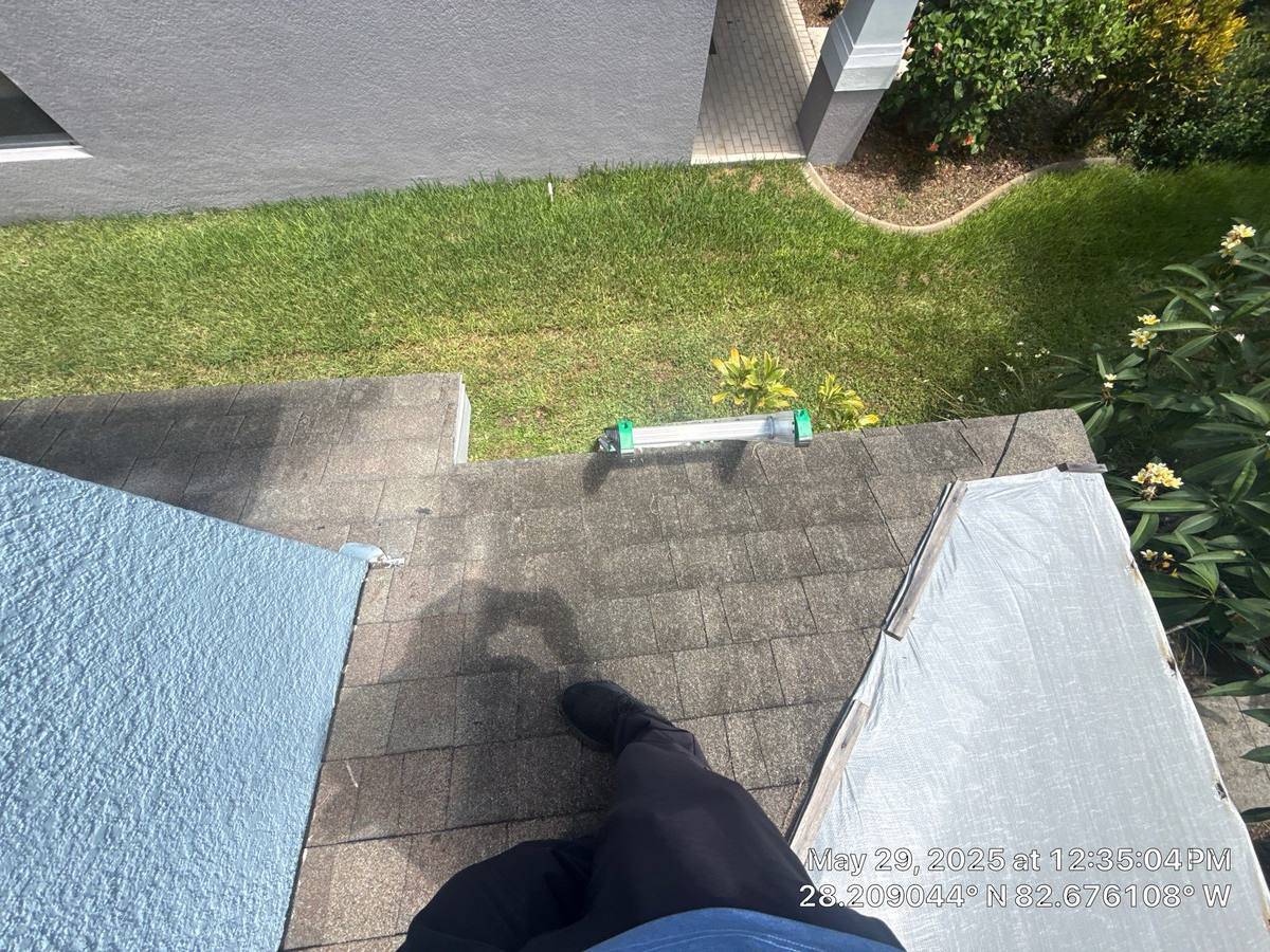 shingle roof replacement in New Port Richey, Florida
