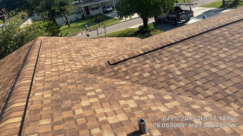 shingle roof replacement in Tampa, Florida
