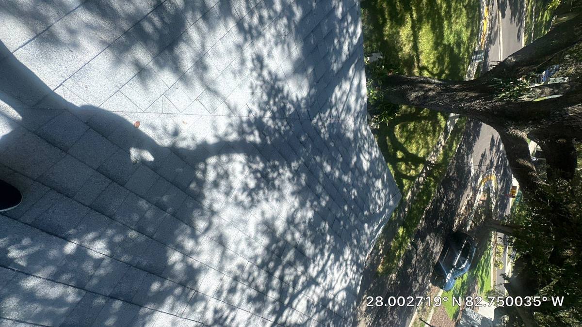 shingle roof replacement in Clearwater, Florida