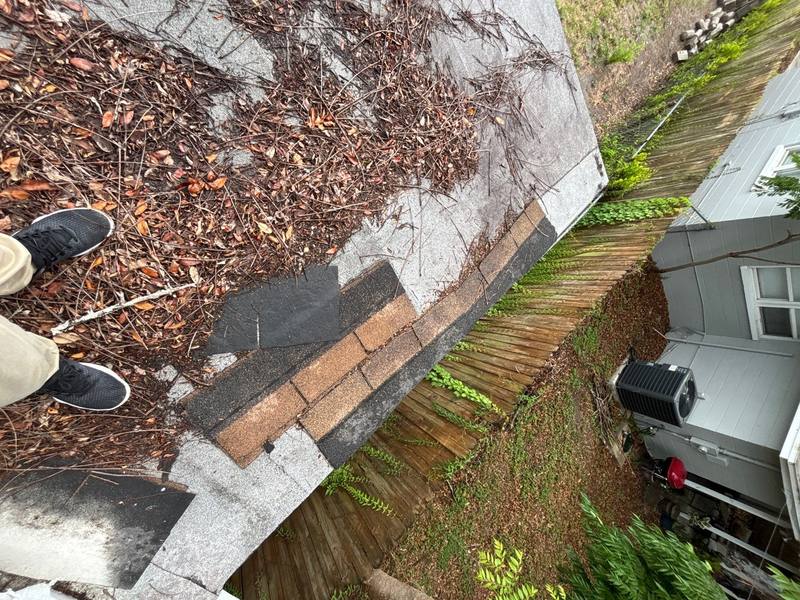 shingle roof replacement in Tampa, Florida