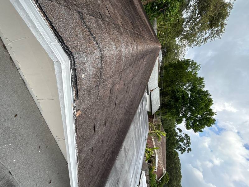 roofing project near N Boulevard in Tampa