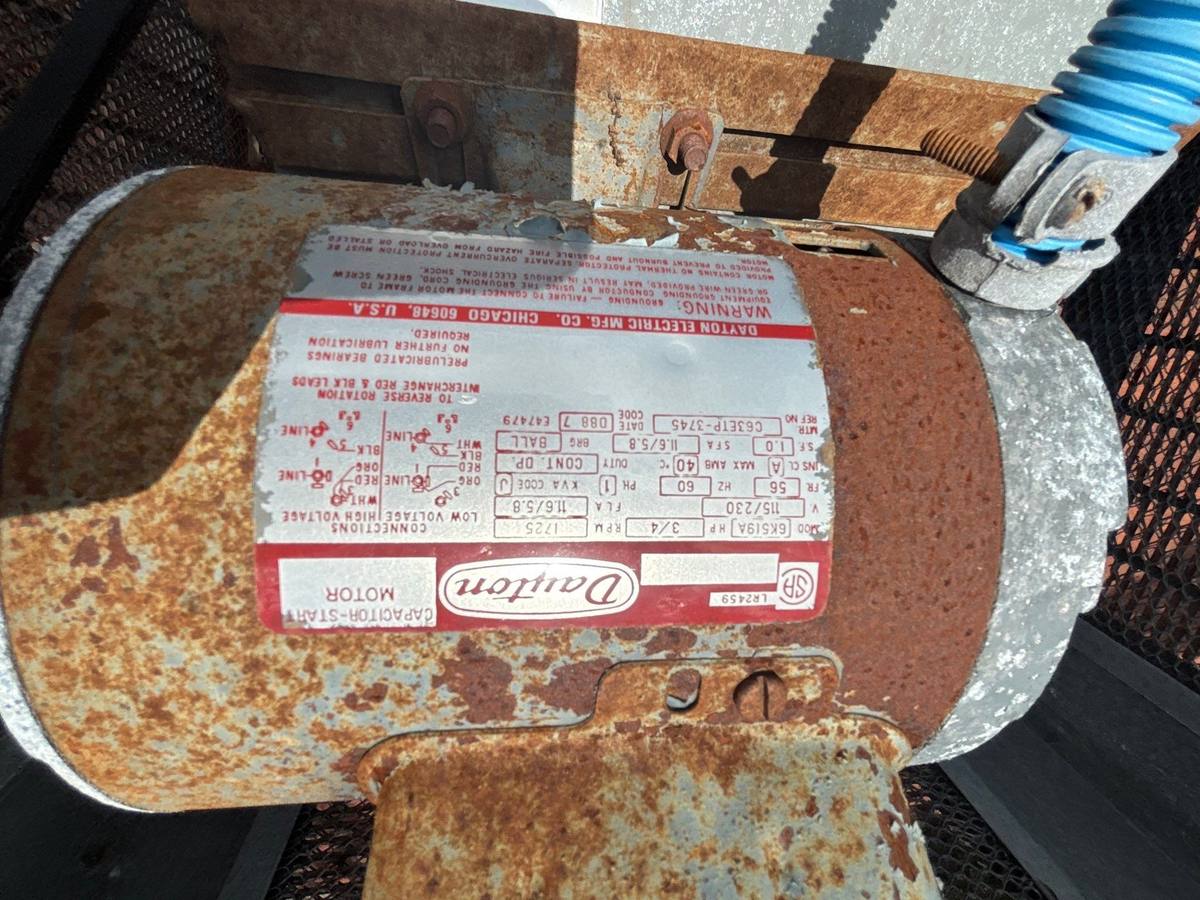 roof replacement in Tampa, Florida