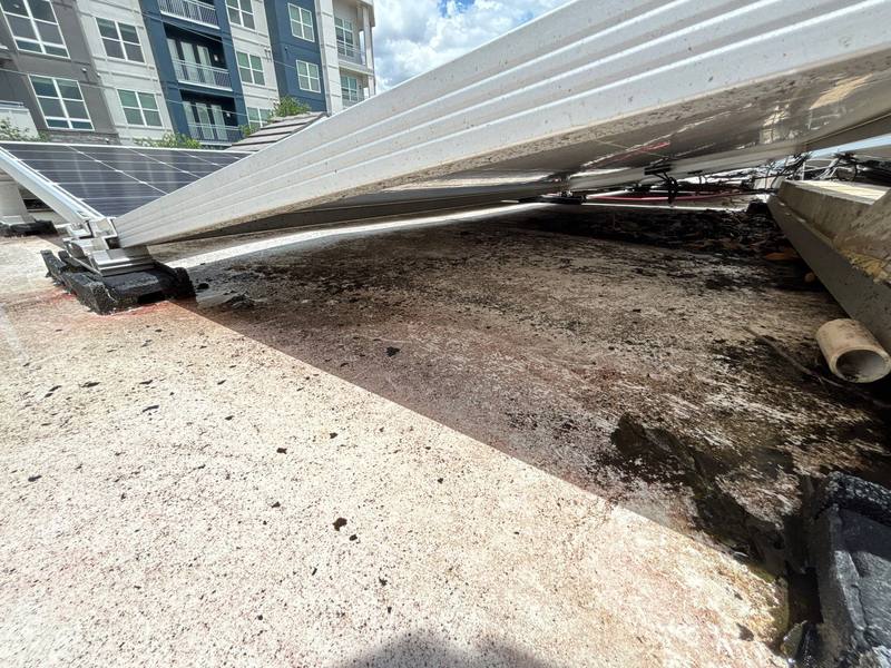 roofing project near S Rome Ave in Tampa