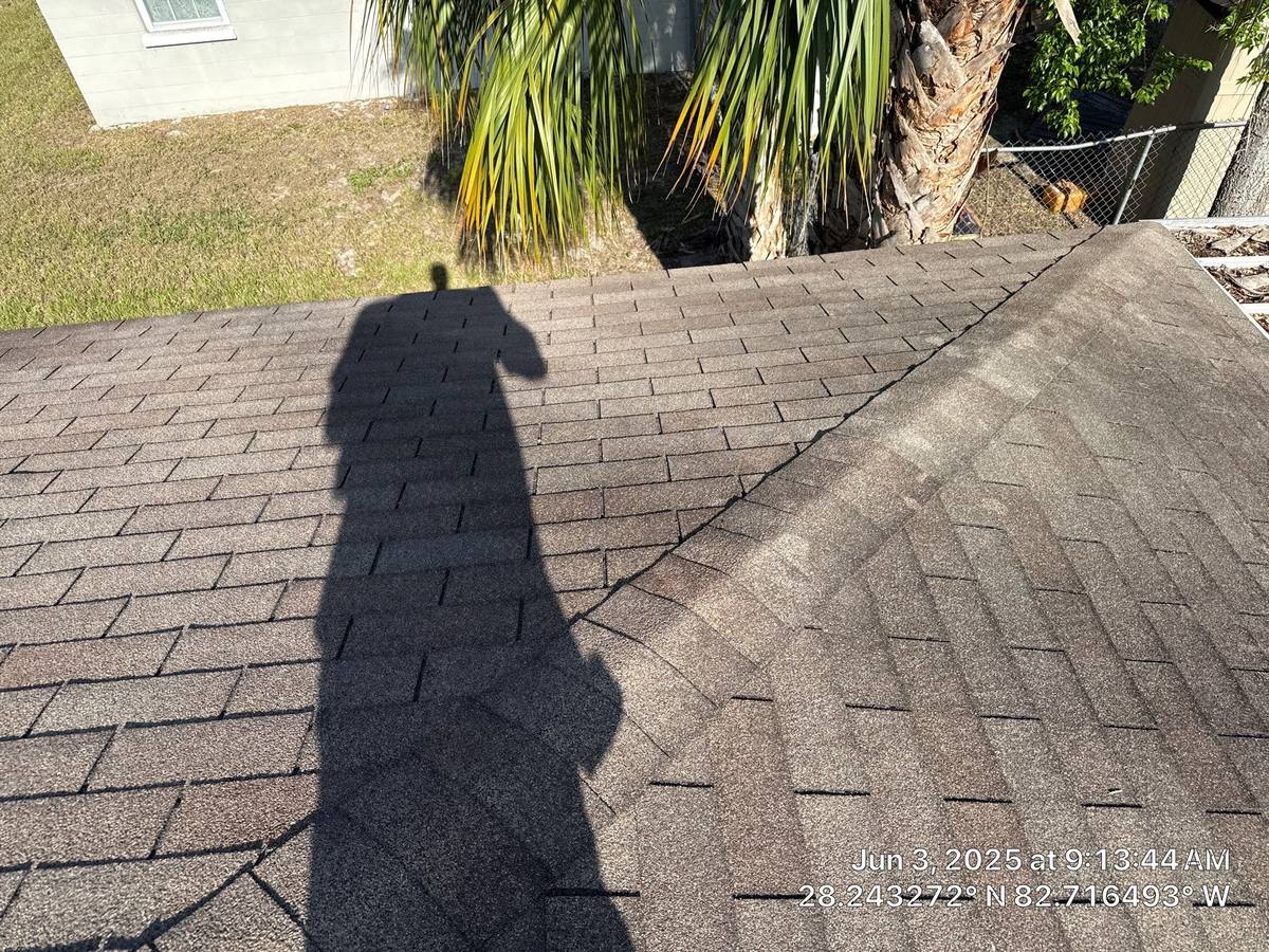 shingle roof replacement in New Port Richey, Florida