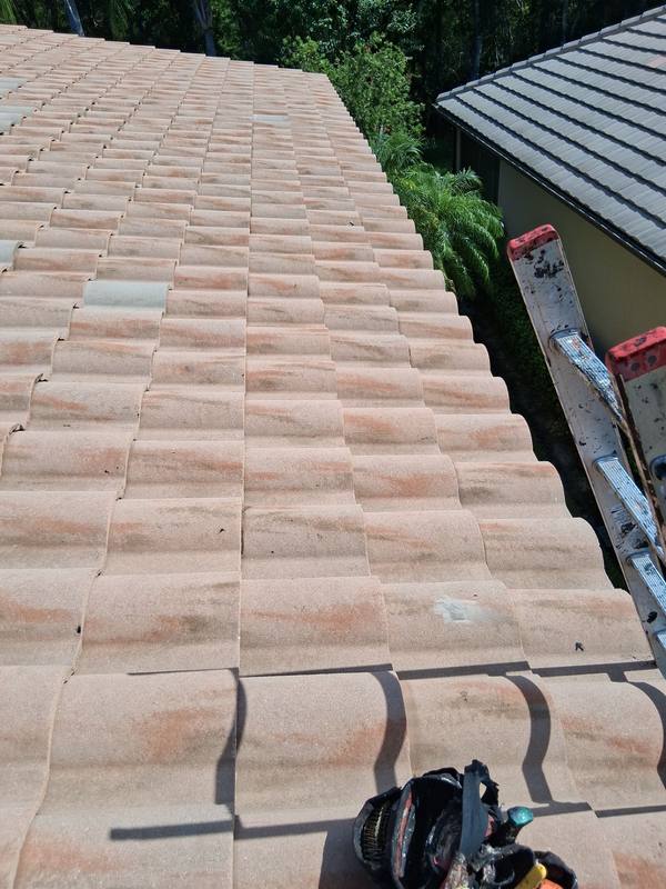 residential roof repair by Hloska Roofing in Tampa