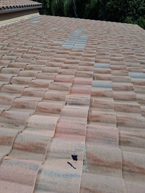 roofing project near Dunham Station Drive in Tampa