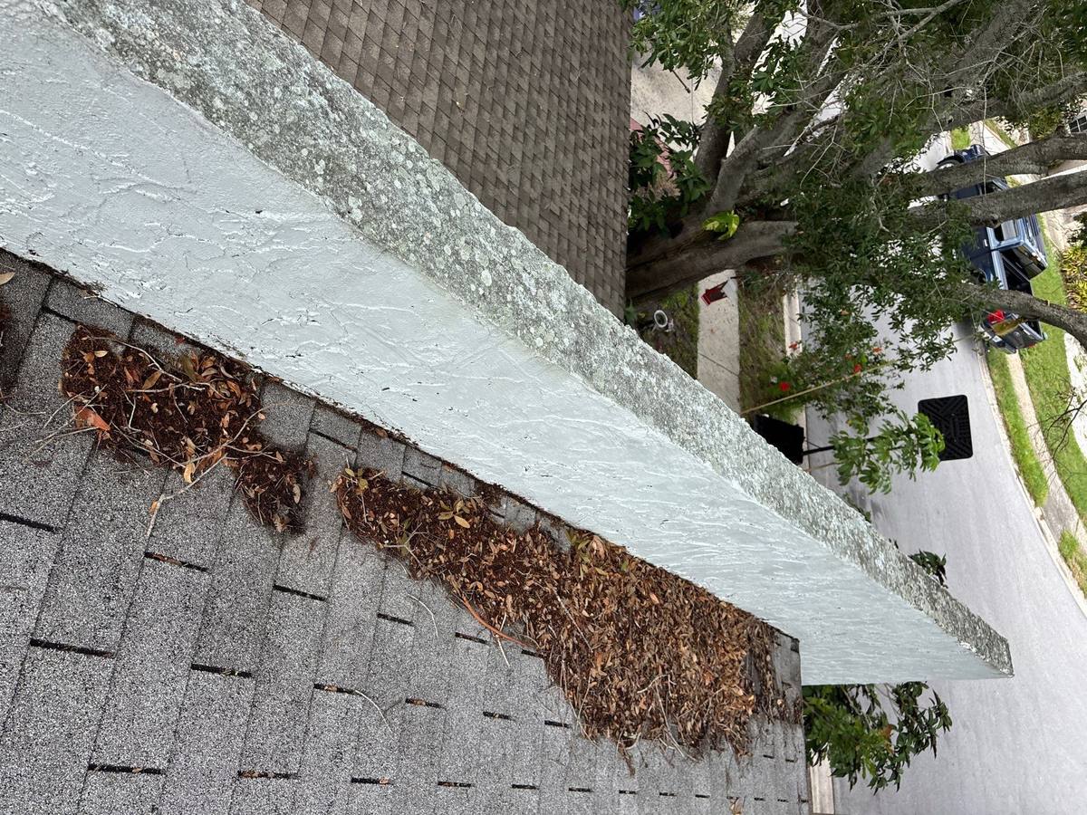 shingle roof replacement in Clearwater, Florida
