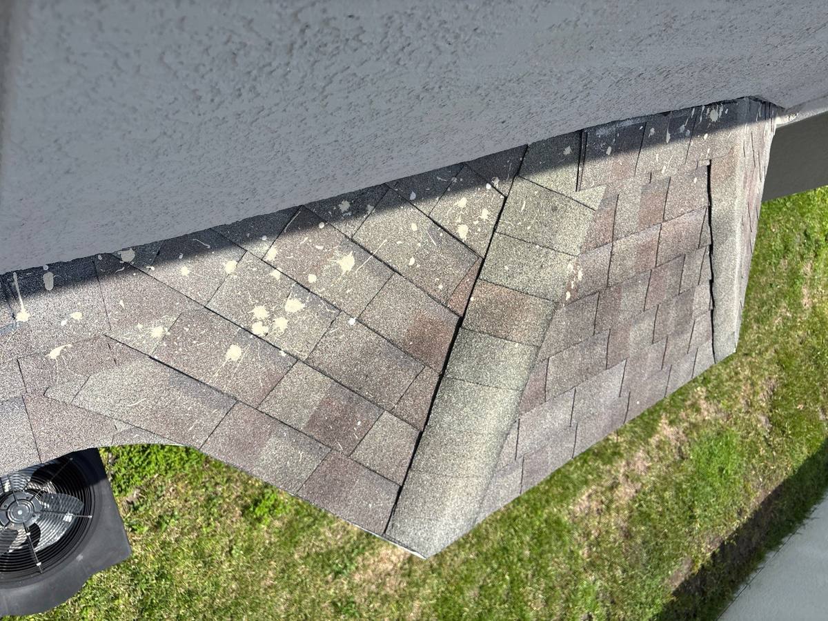 shingle roof replacement in Wesley Chapel, Florida