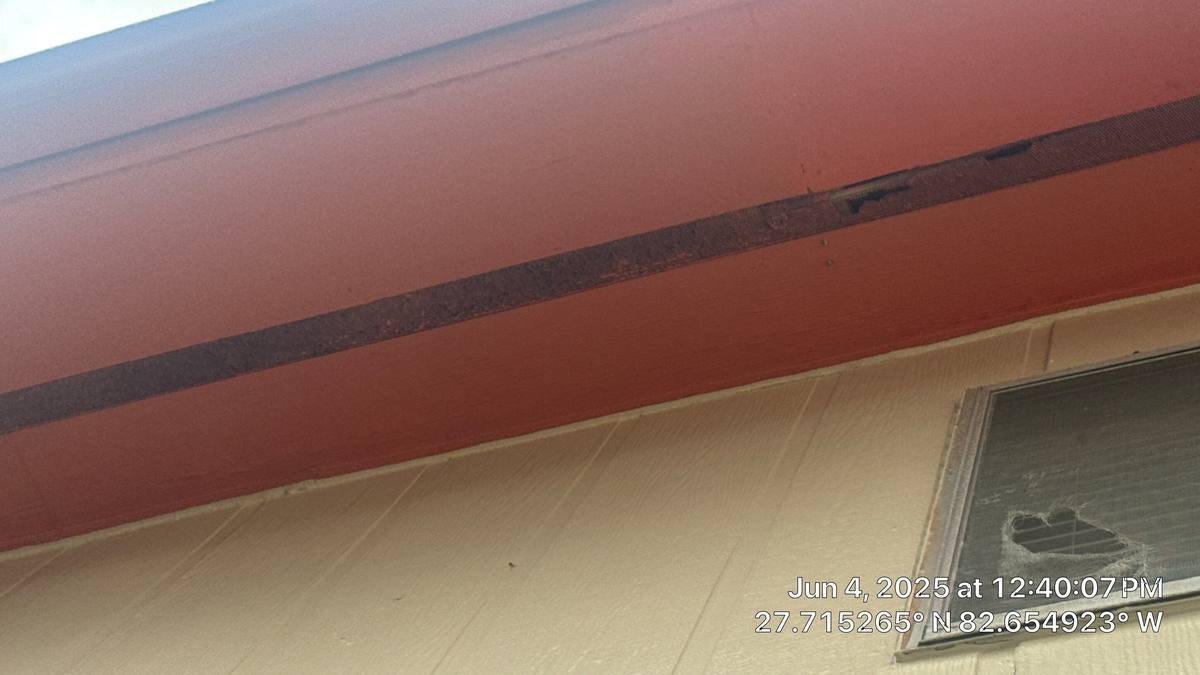roof replacement in St. Petersburg, Florida