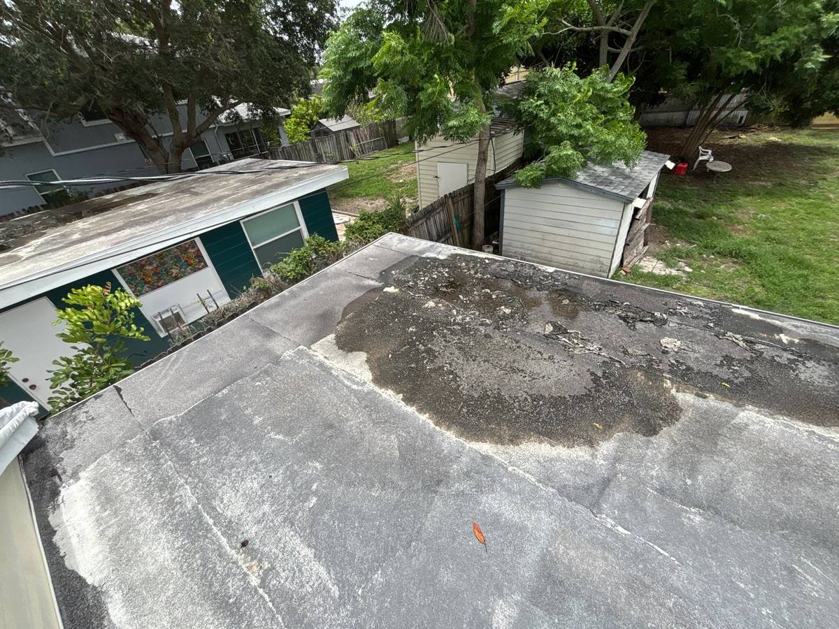 roof replacement in St. Petersburg, Florida