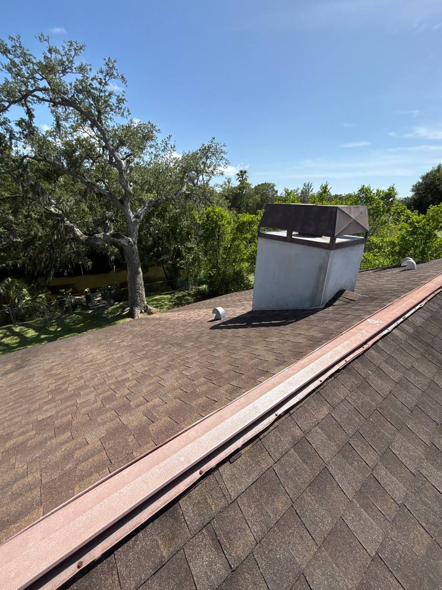 shingle roof replacement in New Port Richey, Florida