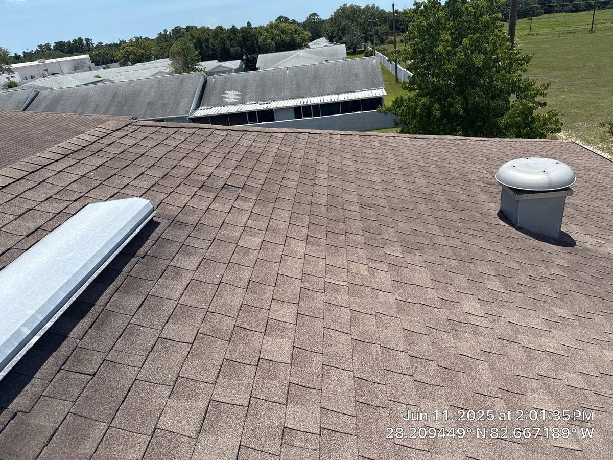 roof repair in Trinity, Florida