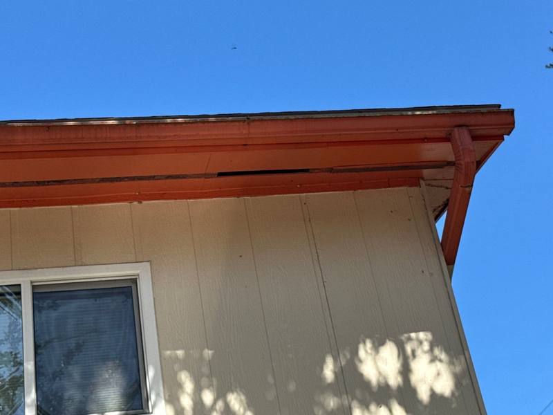 roofing project near 16th Lane S Unit 8 in St. Petersburg