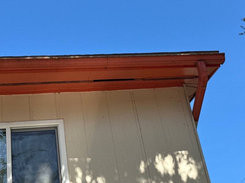 roofing project near 16th Lane S Unit 8 in St. Petersburg