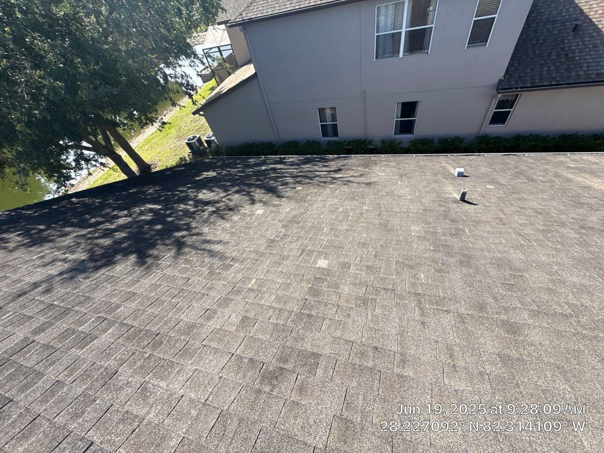 shingle roof replacement in Wesley Chapel, Florida