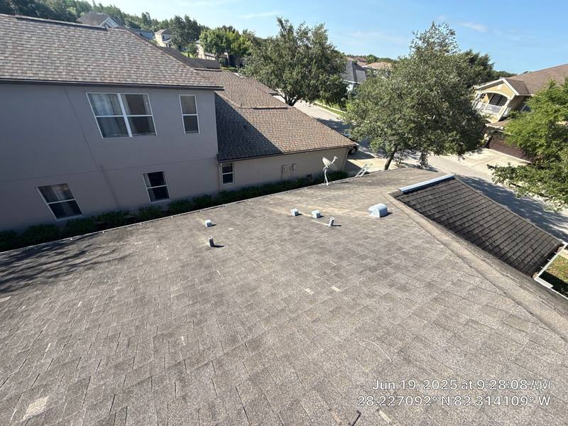 shingle roof replacement in Wesley Chapel, Florida