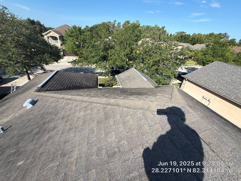 roofing project near Diamond Palm Loop in Wesley Chapel