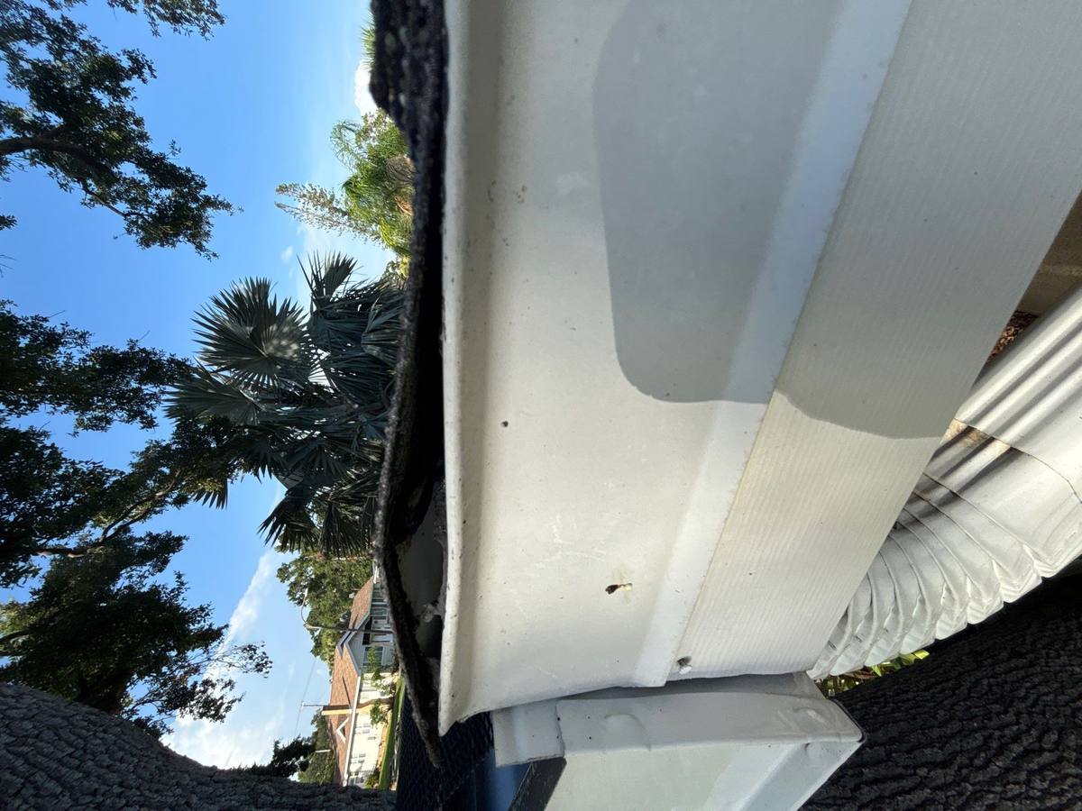 roof replacement in St. Petersburg, Florida