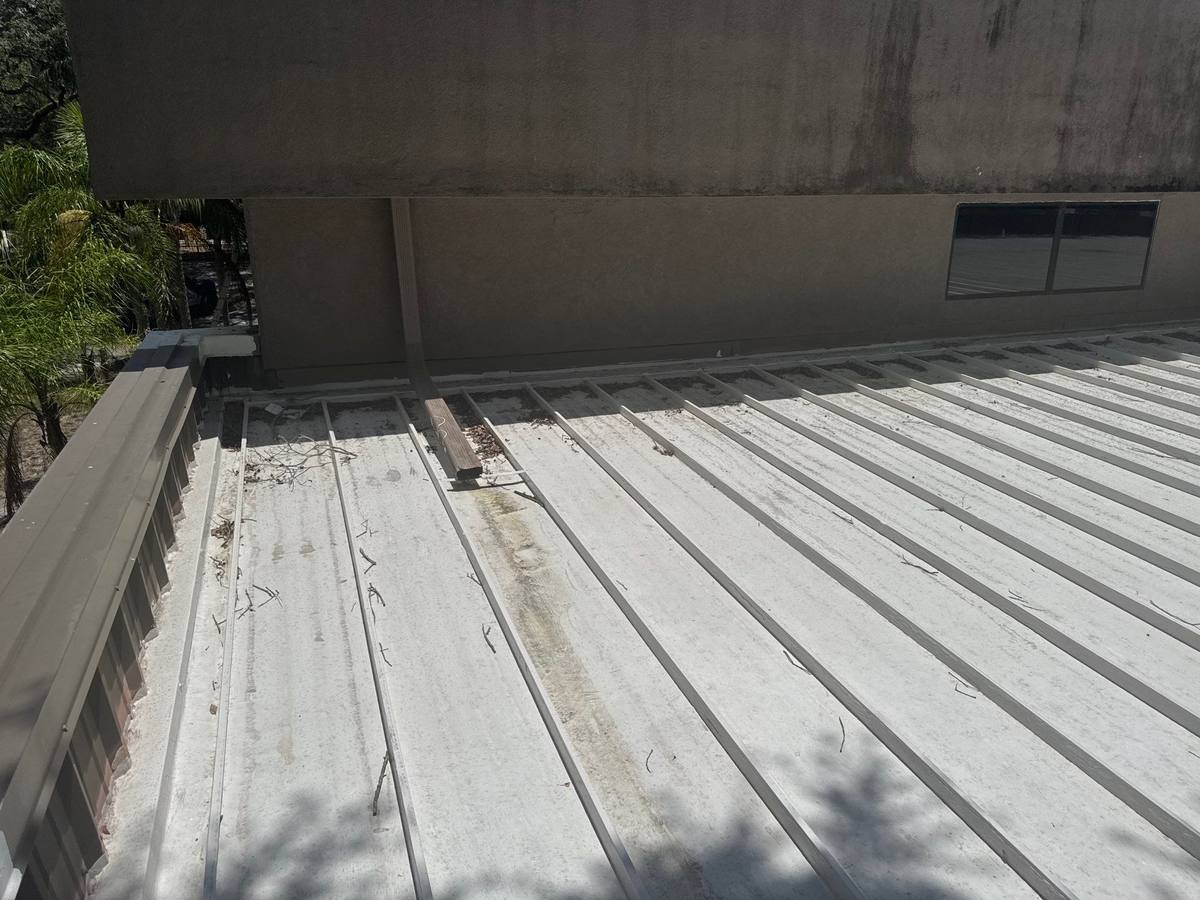 roof replacement in Tampa, Florida