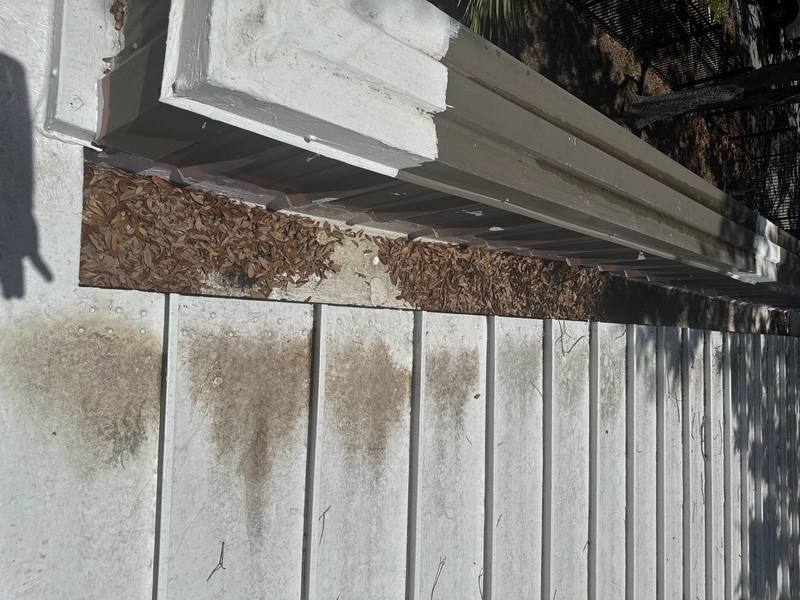 roof replacement in Tampa, Florida