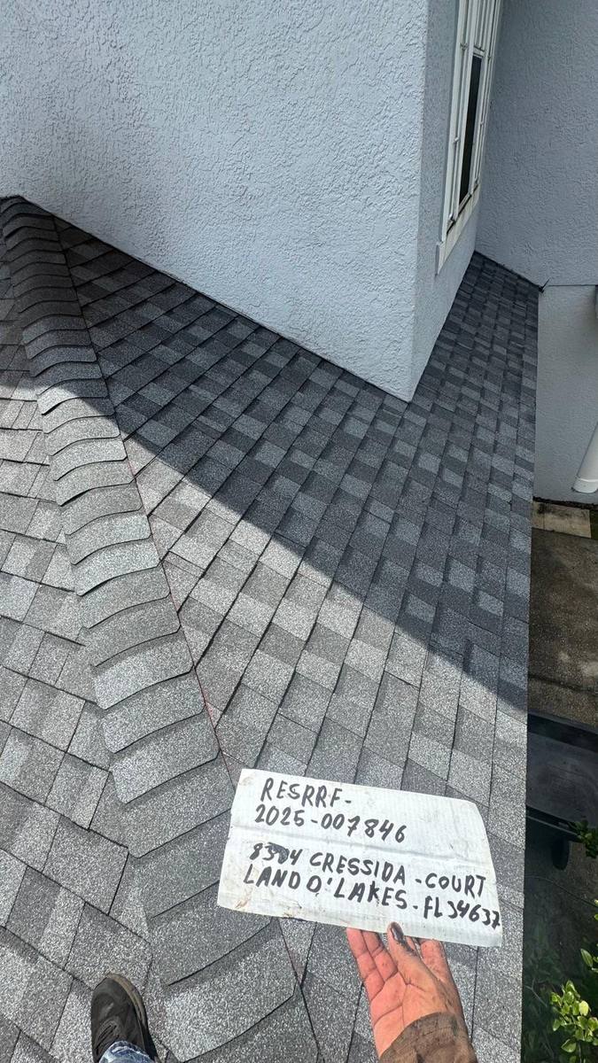 shingle roof replacement in Land O Lakes, Florida
