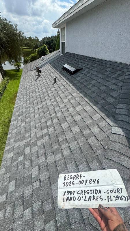 shingle roof replacement in Land O Lakes, Florida