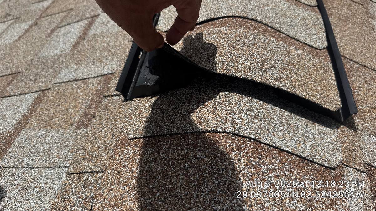 shingle roof replacement in Tampa, Florida