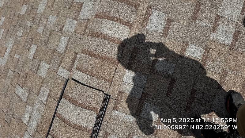 roofing project near Spring Crest Circle in Tampa