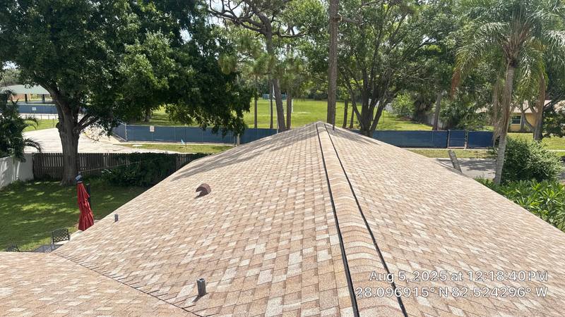 residential shingle roof replacement by Hloska Roofing in Tampa