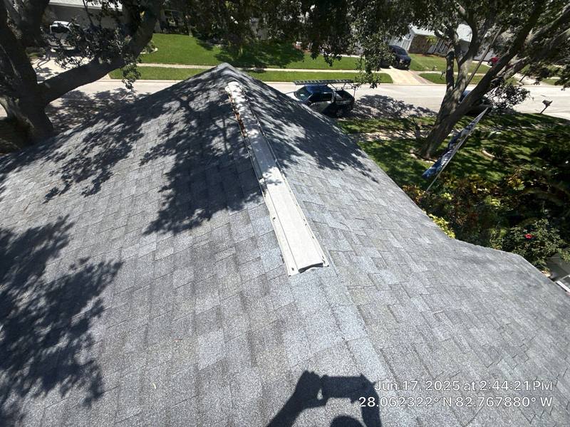 shingle roof replacement in Palm Harbor, Florida