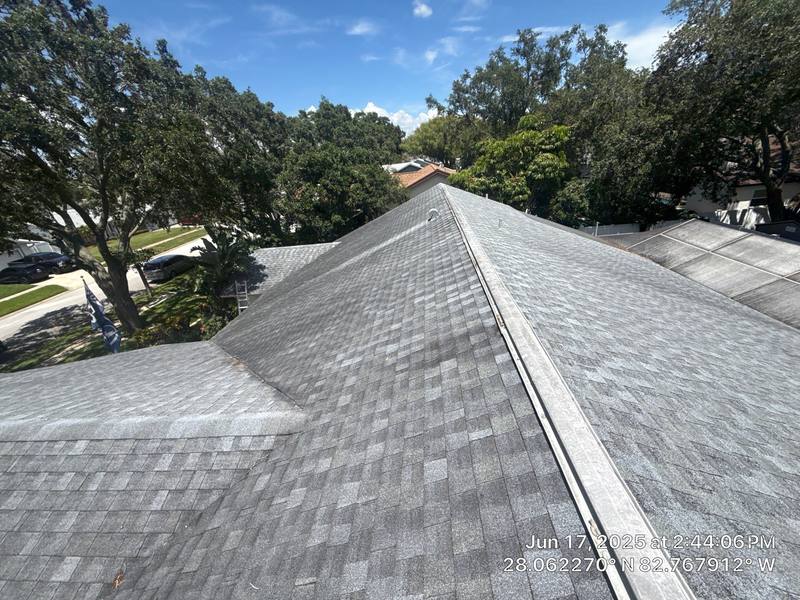 roofing project near Wexford Leas Blvd in Palm Harbor