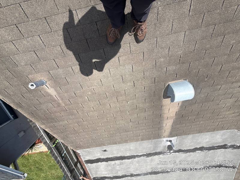 roofing project near Lincoln Park Lane in Port Richey