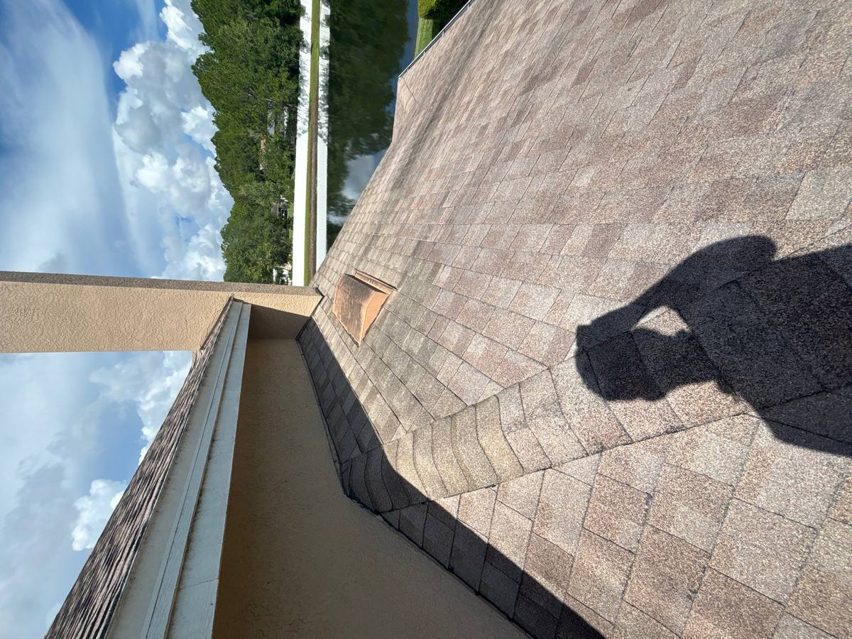shingle roof replacement in Odessa, Florida