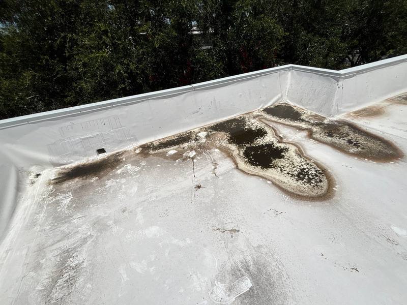 residential roof replacement by Hloska Roofing in Dunedin