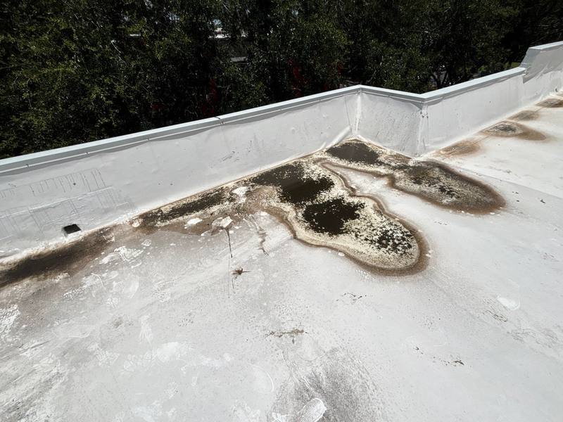 roof replacement in Dunedin, Florida