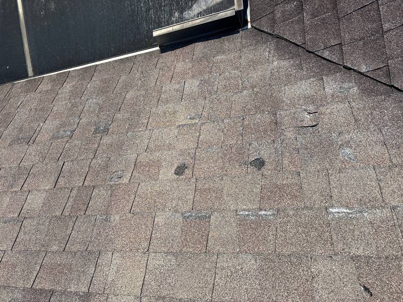 roofing project near Glenridge Drive in Palm Harbor